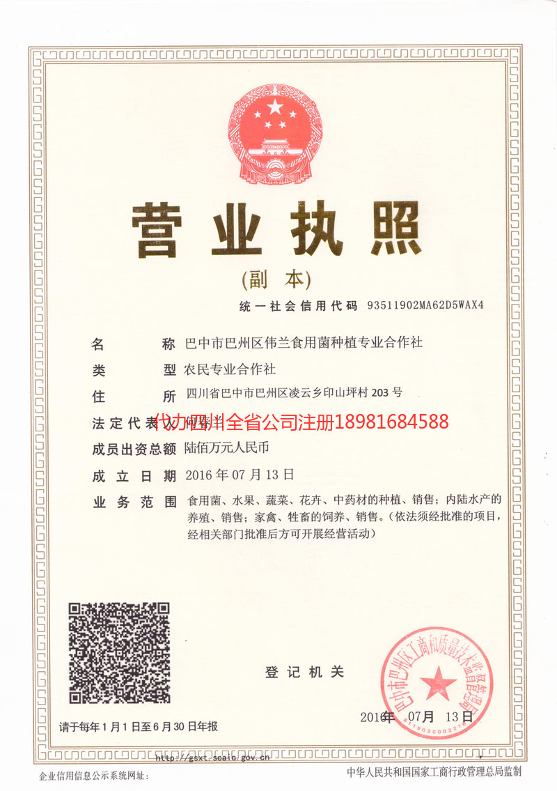 敦化敦化伟兰食用菌种植专业合作社